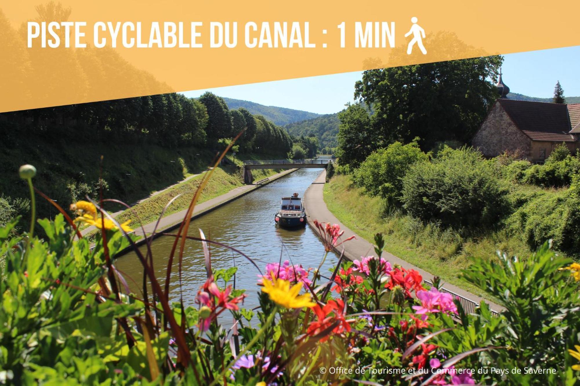 Les Rives Du Chateau, 90M2, Vue Sur Le Canal Saverne Luaran gambar