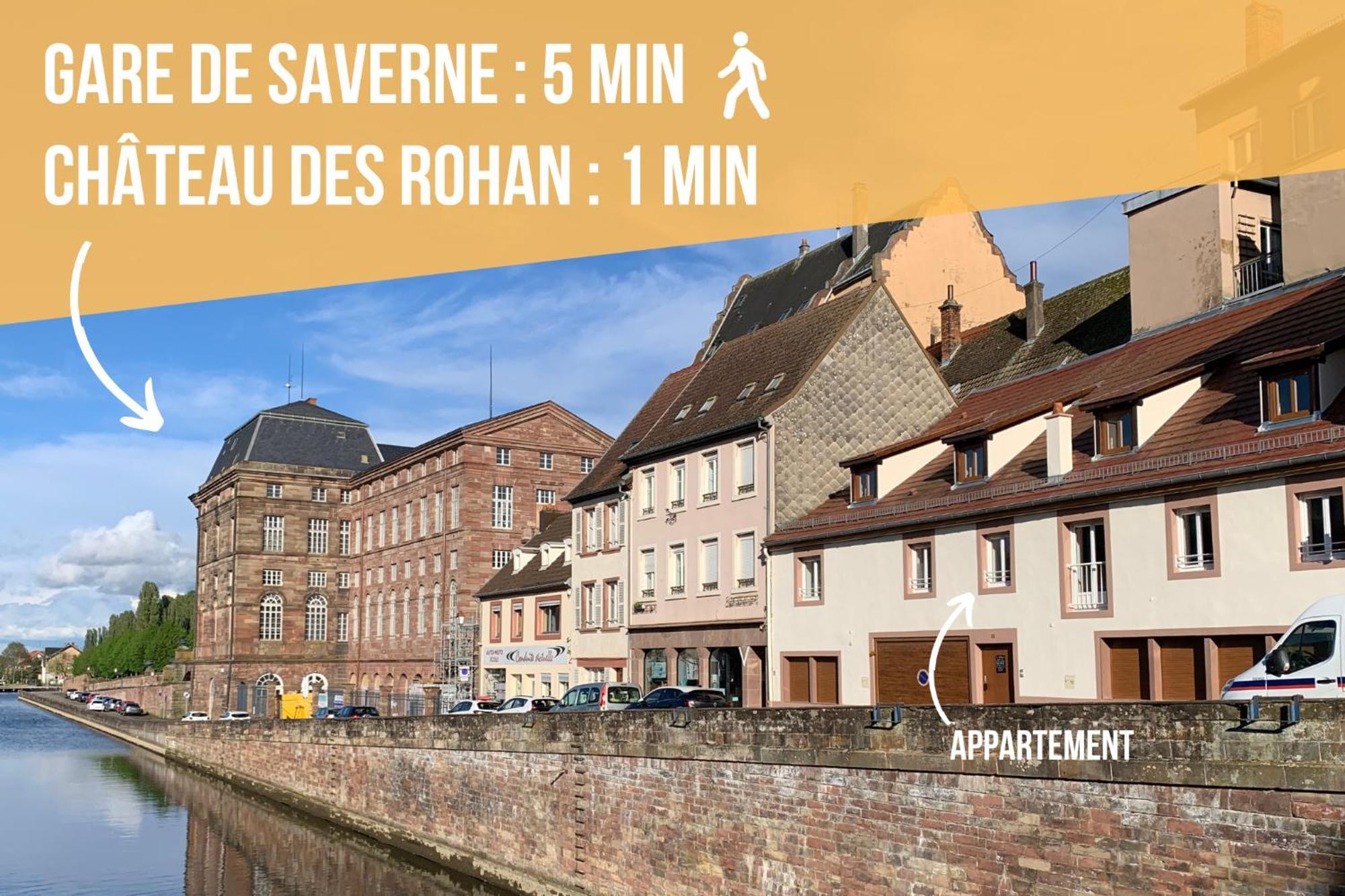 Les Rives Du Chateau, 90M2, Vue Sur Le Canal Saverne Luaran gambar